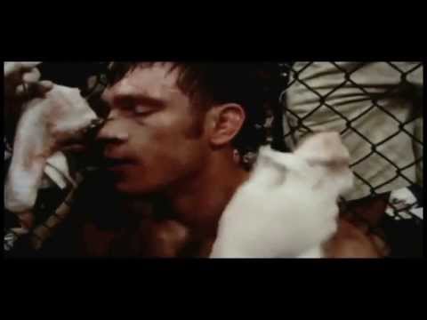 UFC - Hall of Fame ᴴᴰ