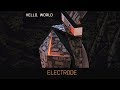 K 391 Electrode