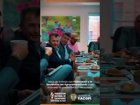 Yacopí líder en la producción de cacao en Cundinamarca