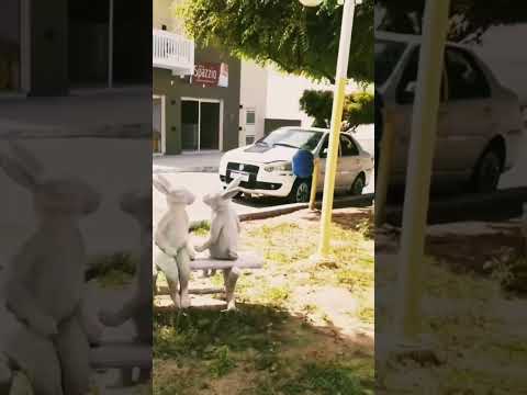 Jardim de Angicos/RN. #shorts #interior #rn #agreste #estrada.