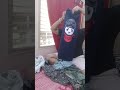 Seereli Hudugeena