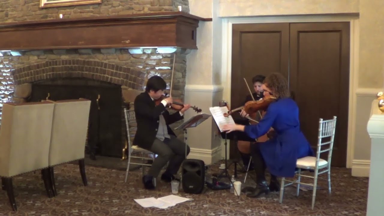 Promotional video thumbnail 100 for Xinou Wei Strings