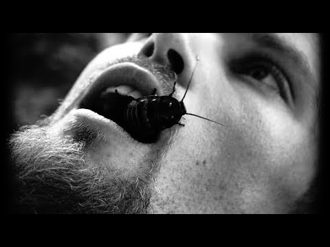 DramaTone x Godemis - Centipedes (official video)
