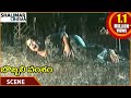Bobbili Vamsam Movie Meena Fall Down When She Is In Pregnant Rajasekhar Shalimarcinema