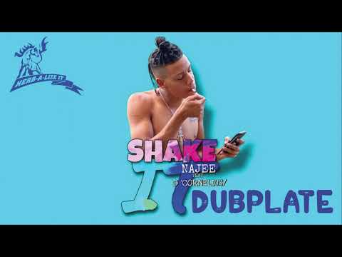 Najee - Shake It Dubplate 2021