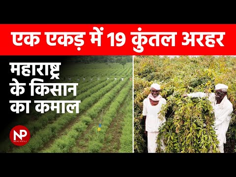 अरहर की खेती का अनोखा तरीका  || How this Farmer from Maharashtra Yields 19 Quintals of Tur Per Acre