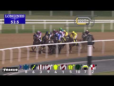 20.11.2014 Meydan (Dubai-UAE) 6.Race Dubai Duty Free Golf World Cup - Handicap 1.600 m 720p