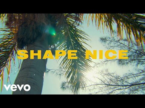 Afro B, Vybz Kartel, Dre Skull - Shape Nice (Official Video)