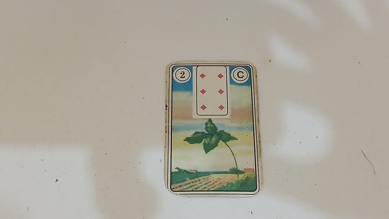 Carta do Trevo - Combinações BARALHO CIGANO