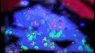 "accidentals" - Broadcast ~ (prism)