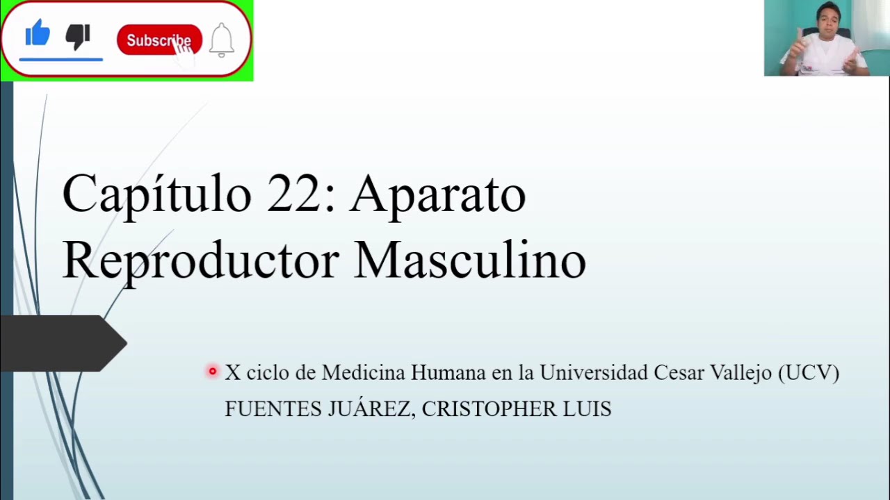 HISTOLOGÍA: APARATO REPRODUCTOR MASCULINO