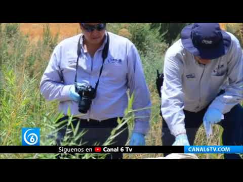 Terrible: Encuentran cadáver de niño en basurero de Culiacán