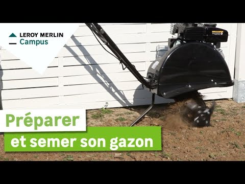 comment traiter sa pelouse