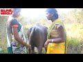 Bhojpuri Gandi Gandi Baat