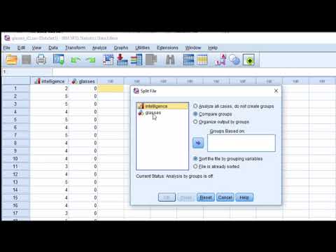 V6.1 - Descriptive Statistics Across Groups in SPSS