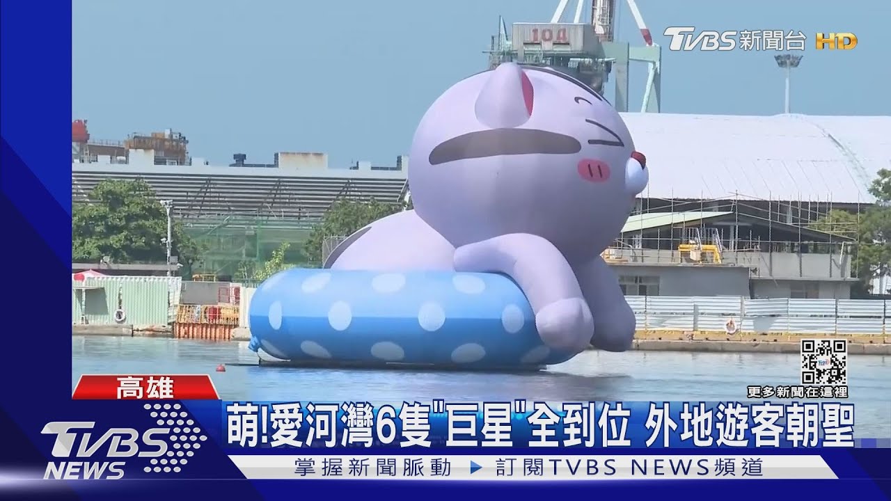 快點來愛河灣!6隻「巨星」全到位 水上漂超萌