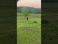 A Bond With A Horse Is So Special Shorts Horse Equestrian