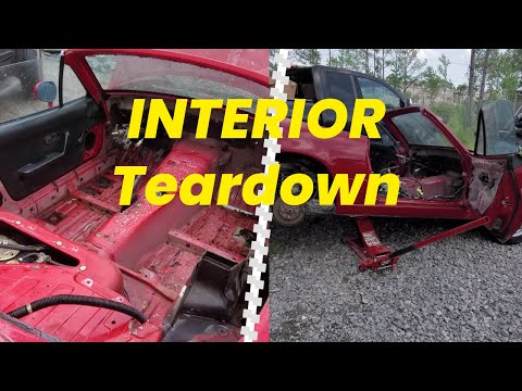 Stripped Down to Nothing: Complete Gutting