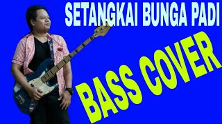 Download lagu SETANGKAI BUNGA PADI ( cover bass ) belajar impruf mp3