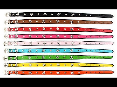 Хороший красивый кожаный ошейник для любимой собаки. Зоотовары