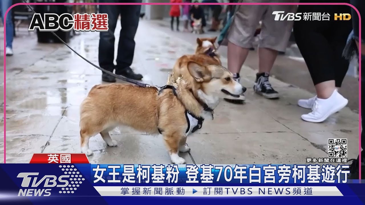英國女王一生鍾愛柯基犬！　80年王室生活養30隻