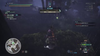テオテスカトル倒せん(泣) MHW