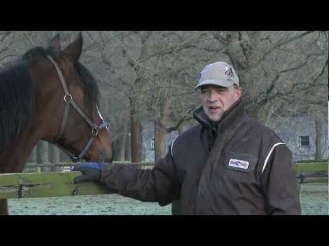 WINRACE TV - Brioni Olympiatravet