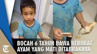 Tak Sengaja Tabrak Anak Ayam, Bocah Ini Membawanya ke Rumah Sakit dengan Uang Rp2000