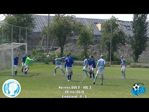 Samenvatting Hermes DVS 2 - VDL 3