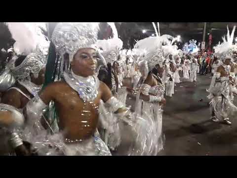 Acadêmicos do Salgueiro 2019 - Desfile Oficial (03/03/2019)