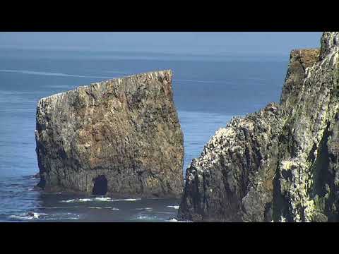 Anacapa Island Cove - Channel Islands National Park Cam 04-22-2018 15:55:59 - 16:56:00