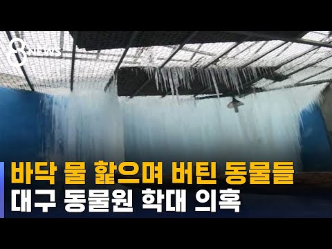 아이콘
