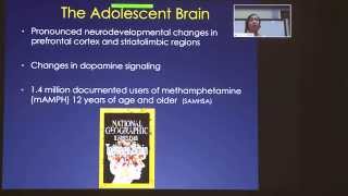 Ameliorating methamphetamine-induced cognitive impairment: Alicia Izquierdo, PhD