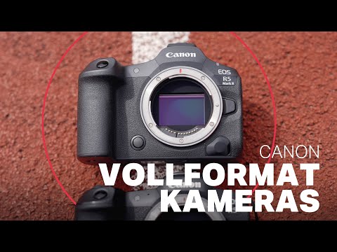 Vollformat Kameras von Canon - Vom Einstieg bis zum Flaggschiff Profi Modell