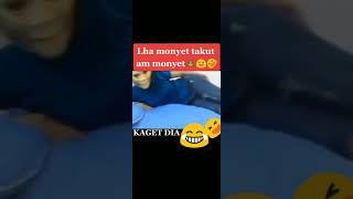 Download lagu video lucu bikin ngakak buat warga  62 meme lucu terbaru ngakak abis mp3