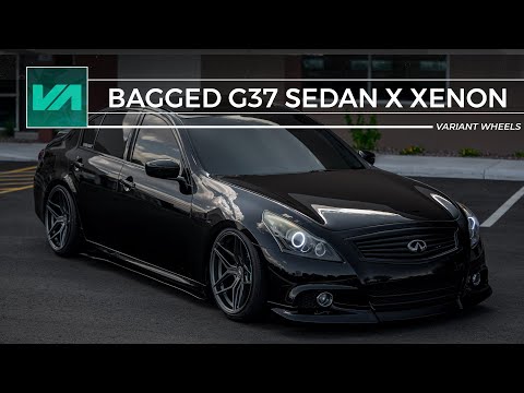 Bagged G37 Sedan // Variant Wheels // Xenon