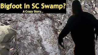 Shocking Find: Bigfoot's Tracks in Swamp