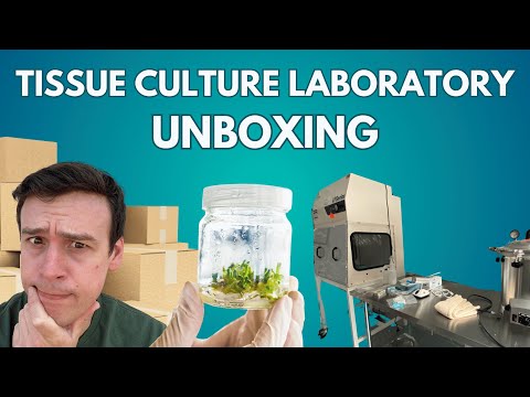 I built my Dream Plant Tissue Culture Laboratory!