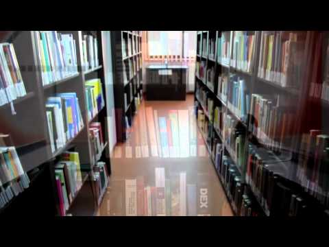 download lagu mp3 mp4 Facultatea De Psihologie Brasov, download lagu Facultatea De Psihologie Brasov gratis, unduh video klip Facultatea De Psihologie Brasov