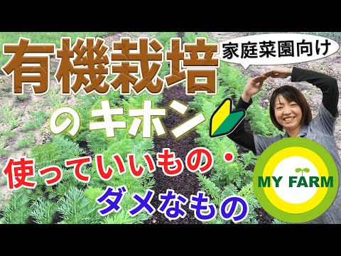 カタバミの対策方法 アイキャッチタイプ グランドカバー 屋内用植木鉢