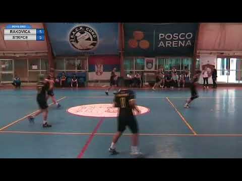 capture   27 jun 2018   RAKOVICASTRPCE0003