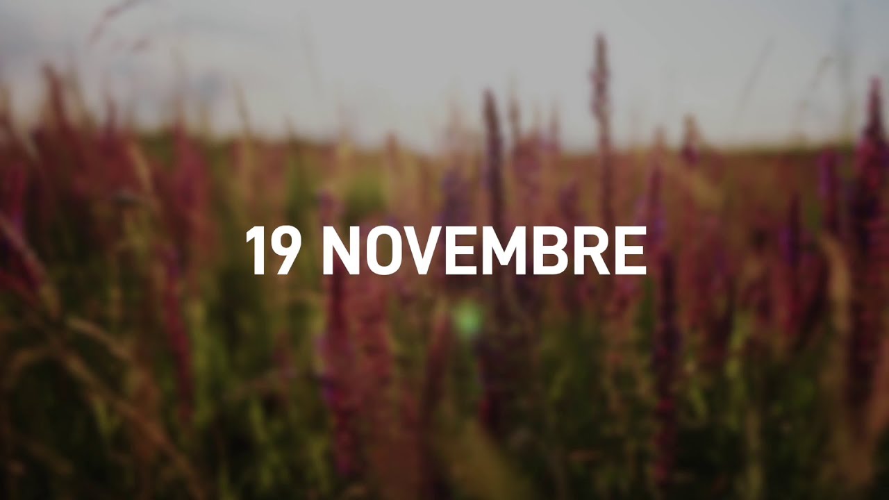 19 Novembre 2025 | Meditazione Parole di Vita