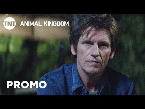 Animal Kingdom Season 3 (Promo 'Pair')