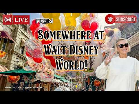 Live webcam of That Crazy Disney Lady
