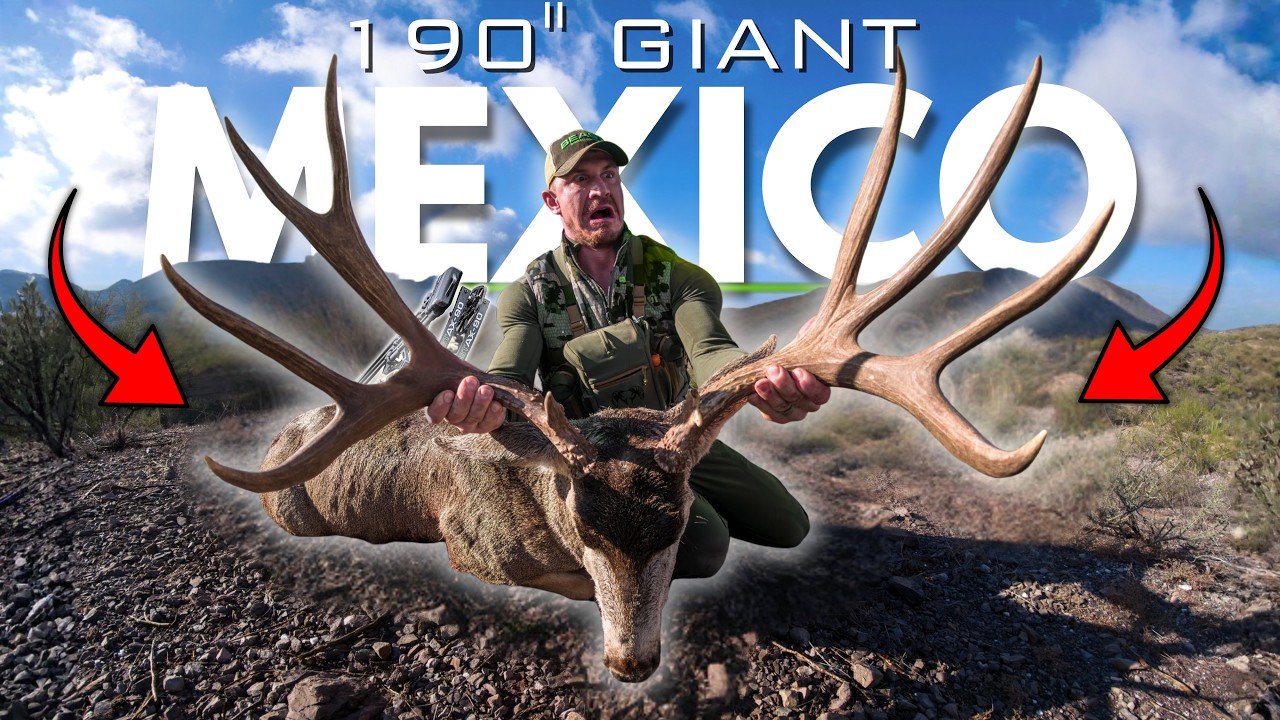 I Bow Hunted a 190" GIANT Mule Deer In Mexico! | Free Range |