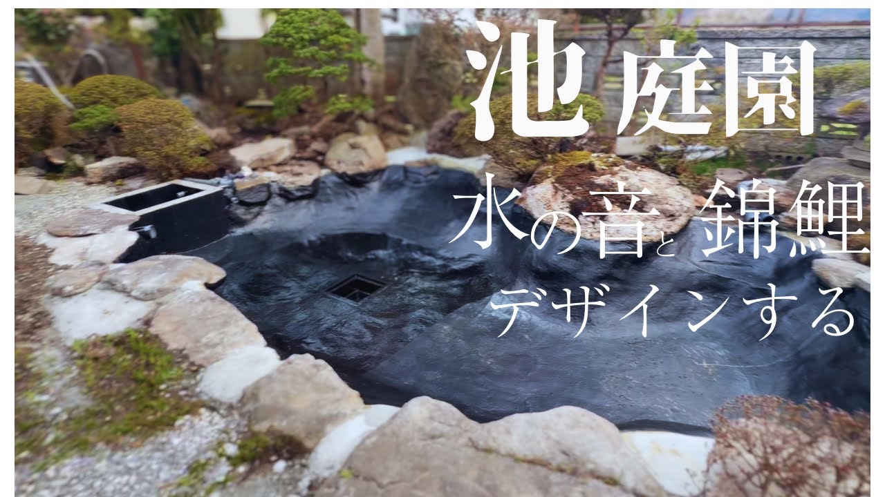 水と錦鯉をデザインする池作り#アクアリウム #koipond 