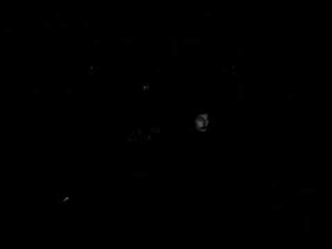 acid circus @ moontribe