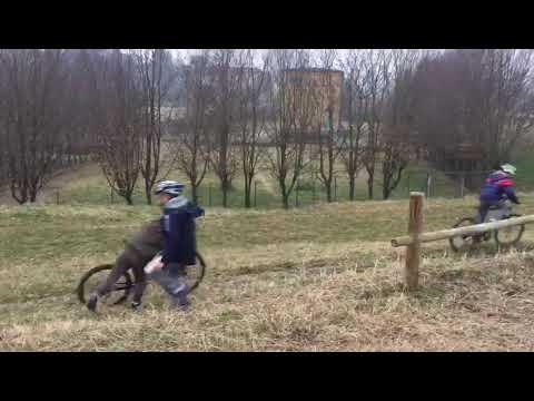 Una domenica bellissima