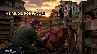 Veterinário da fazenda encontra CAVALO ferido e uma criança escondida atrás do curral… mas