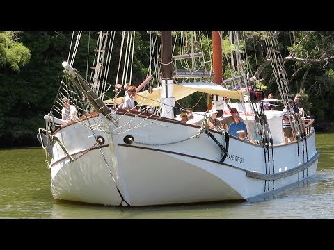 Sailing Scow Jane Gifford  Warkworth  New Zealand - 2019